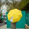 L884-4296 Sunflowers (Подсолнухи,В.Гог) Зонт женский механика Fulton фото 4 — Интернет-магазин "BAGSTAR"