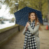 L553-4423 PolkaDot(Largerdots) (Горошек) Зонт женский механика Fulton фото 5 — Интернет-магазин "BAGSTAR"
