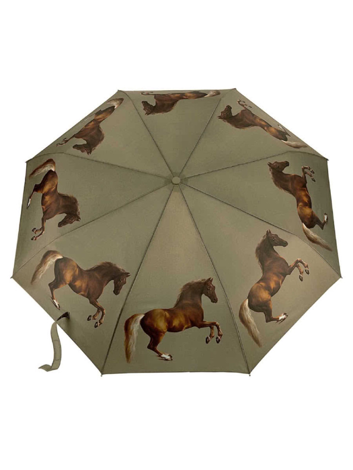 L849-4389 StubbsWhistlejacket (Уистлиджейкет,Д.Стаббс) Зонт женский механика Fulton фото 1 &mdash; Интернет-магазин "BAGSTAR"